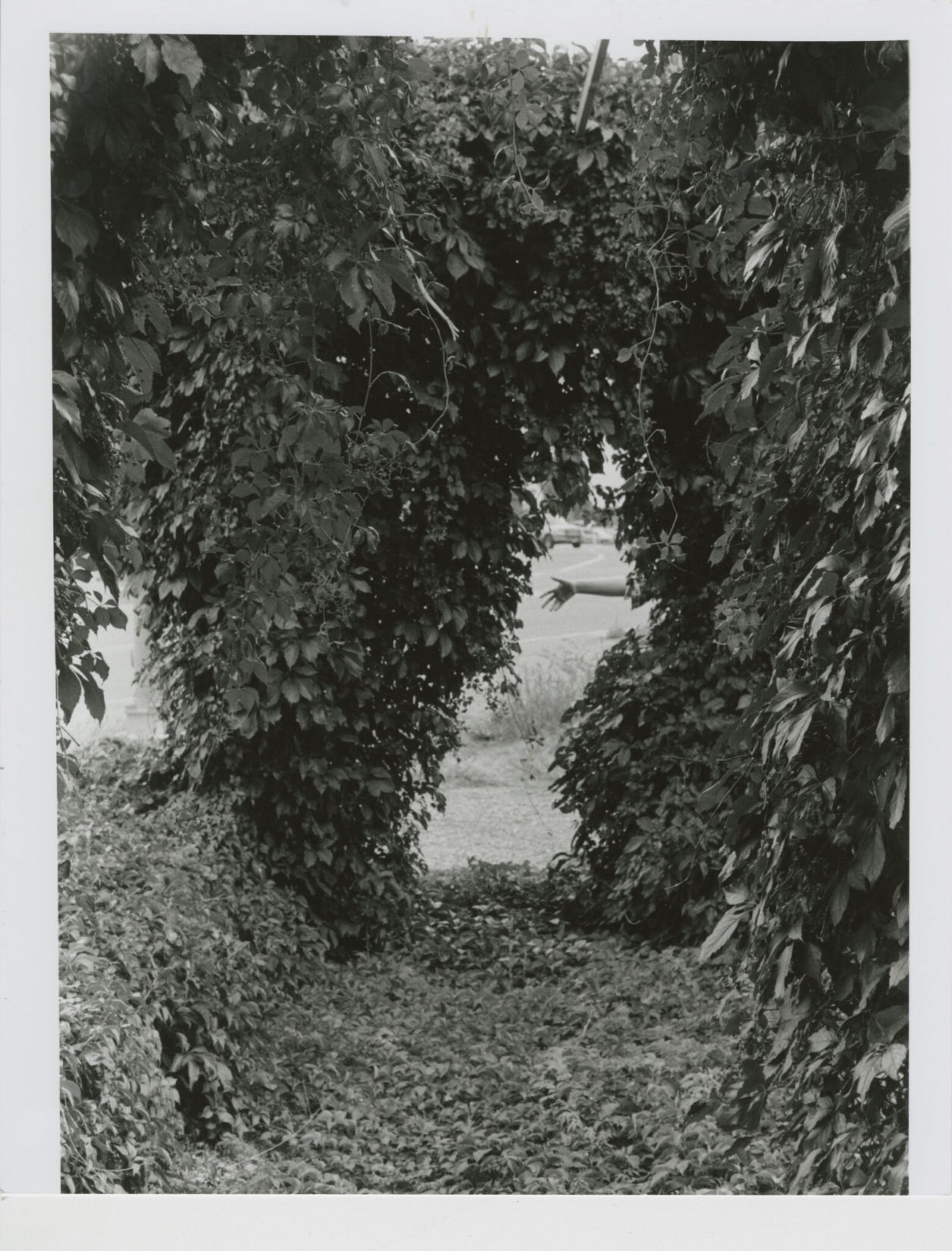 'Take a Peek' by Olivia Ruesch